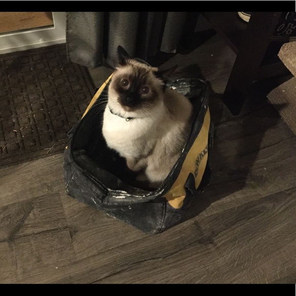 Meet your Posher, Rebecca - Picture 1 of 1